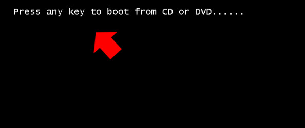 Rysunek 1.  Start instalatora systemu z płyty DVD.